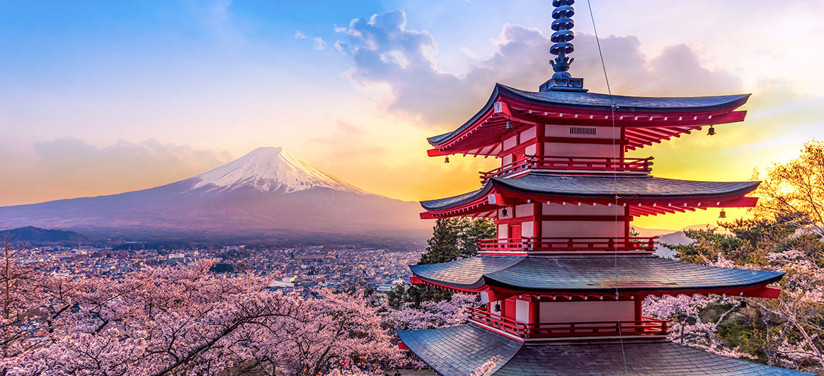 Study Abroad Introduces UA Tokyo Arizona International