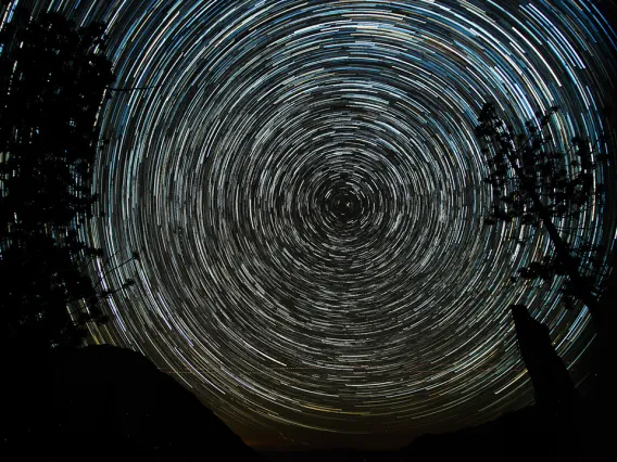 A timelapse of the starry sky with trees in the foreground. 