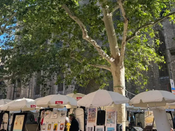 La Taperia market at El Nacional