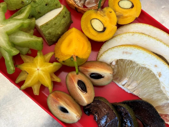 Exotic Fruit Tasting 