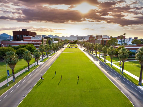 The University of Arizona grassy mall with the sunset in the background