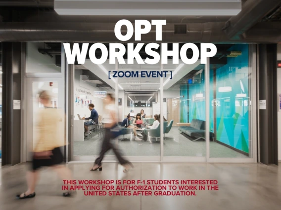 OPT Workshop