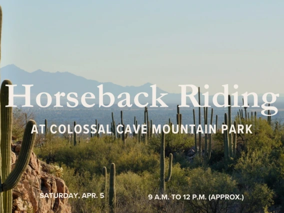 Horseback Riding
