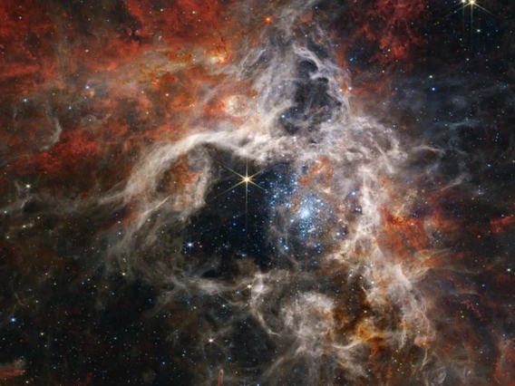 A stunning image of a dense star-forming region in space, filled with swirling clouds of gas and dust illuminated by clusters of bright stars, captured by NASA’s James Webb Space Telescope.
