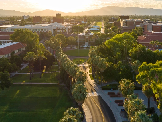 Aerial view of the University of Arizona campus at sunrise, with palm-lined streets, red brick buildings, and lush green trees. The morning light casts long shadows across the Main Mall, with mountains visible in the background under a bright sky.