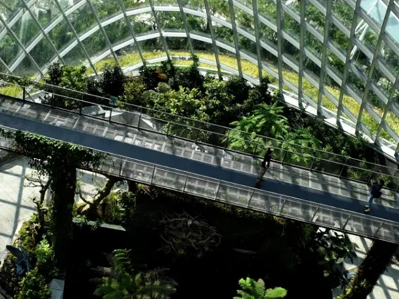 Glass structure filled with plants