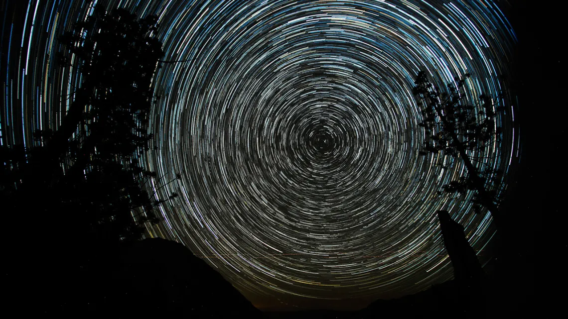 A timelapse of the starry sky with trees in the foreground. 