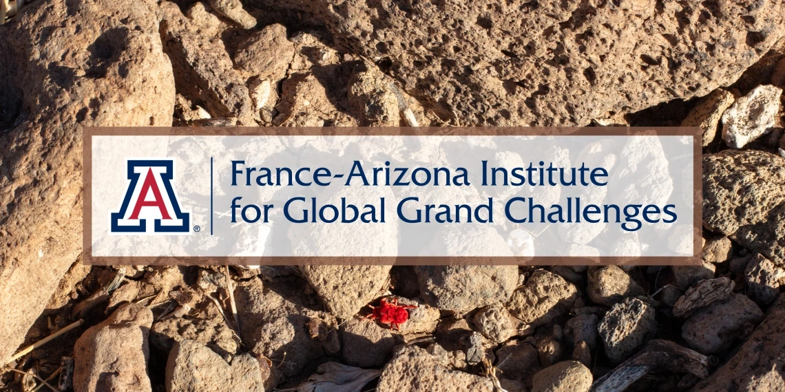 Logo of the France-Arizona Institute for Global Grand Challenges displayed over a background of desert rocks with a bright red velvet mite in the foreground.