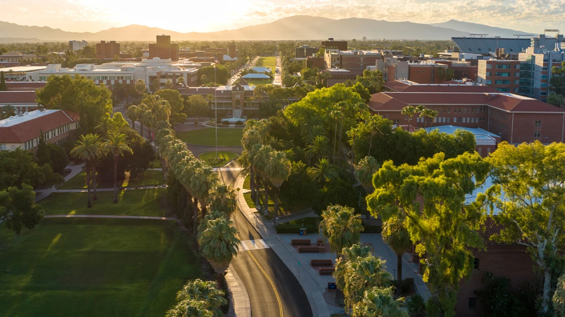 Aerial view of the University of Arizona campus at sunrise, with palm-lined streets, red brick buildings, and lush green trees. The morning light casts long shadows across the Main Mall, with mountains visible in the background under a bright sky.