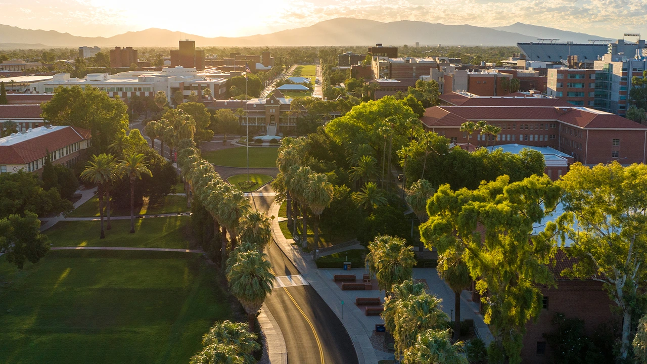 Aerial view of the University of Arizona campus at sunrise, with palm-lined streets, red brick buildings, and lush green trees. The morning light casts long shadows across the Main Mall, with mountains visible in the background under a bright sky.