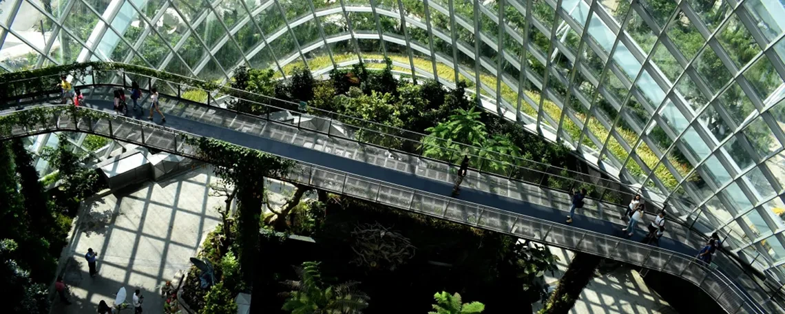 Glass structure filled with plants