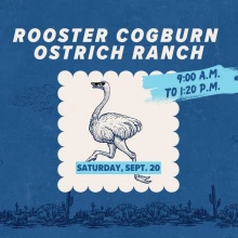 Rooster Cogburn Ostrich Ranch