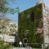 Universidad Peruana de Ciencias Aplicadas 