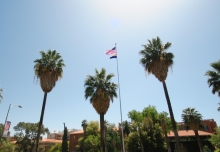 Three palm trees and an American flag against a blue sky
