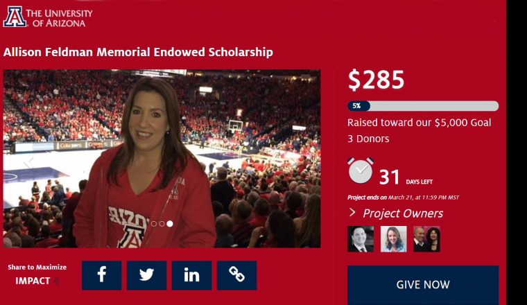 Allison Feldman Memorial Endowed Scholarship screenshot of crowdfunding page