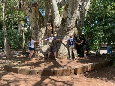 UA Student Joseph studied abroad in Mauritius. Students holding hands around a tree