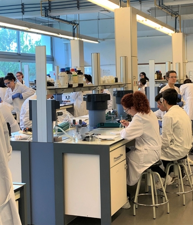 University students working in a chemistry lab class