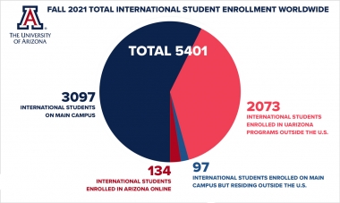 Pie chart depicting international student enrollment by modality.