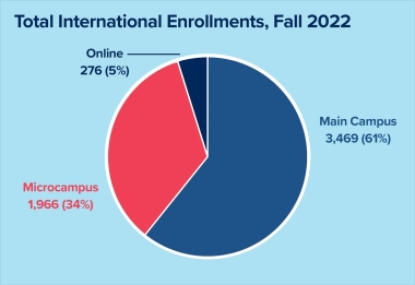 Puie chart showing the percentages of total fall 2022 international enrollments
